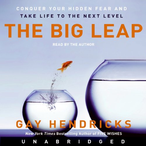 The Big Leap — book cover